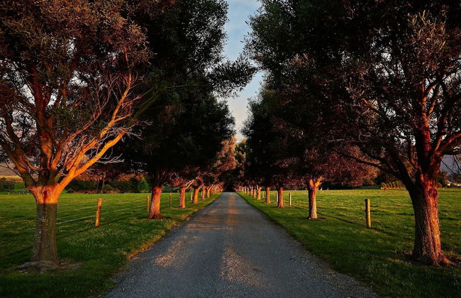 Cubby House Stay - Kaikoura - Foto 67