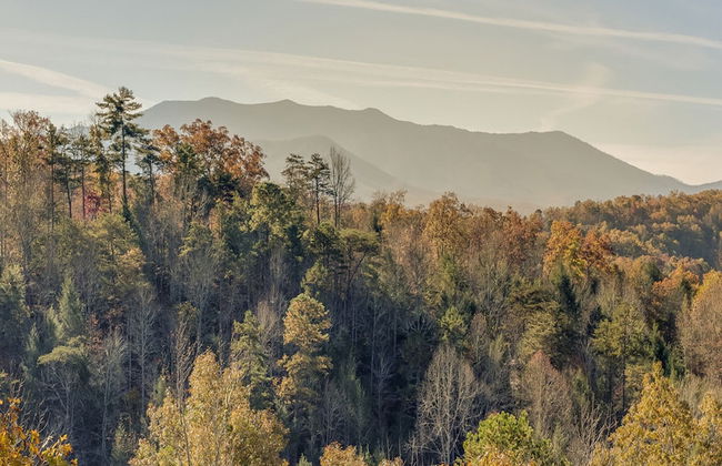 Bear Hunter - Foto 46