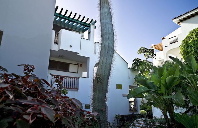 BLUESEA Callao Garden - Foto 28