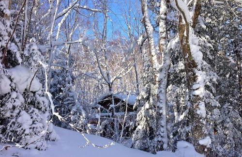 Secluded Waterfront Cabin Rental on Lake Superior near Red Cliff, Wisconsin - Foto 70