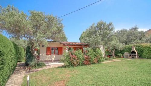 Timea A4 - Foto 3, Garden