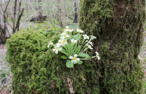 Cartmel Flat - Foto 28