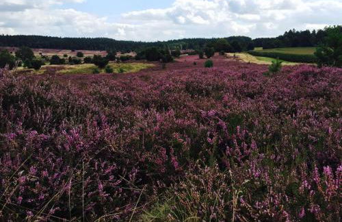 Ferienwohnung Heide View - Foto 47