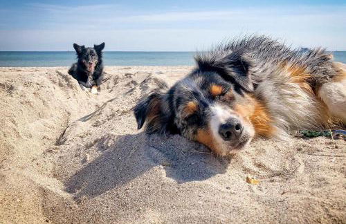 Apfelgarten - Foto 22