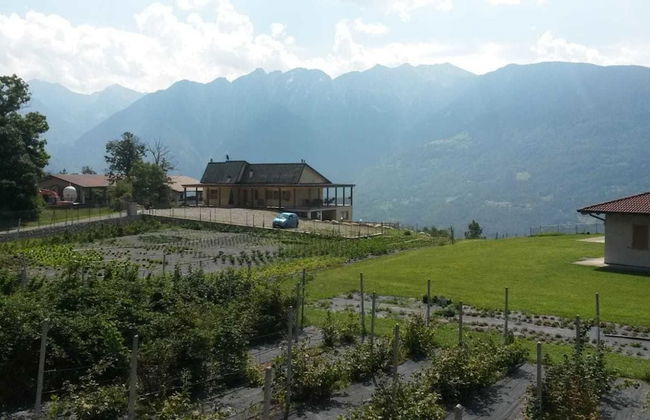 Agriturismo da Ysy - Foto 34