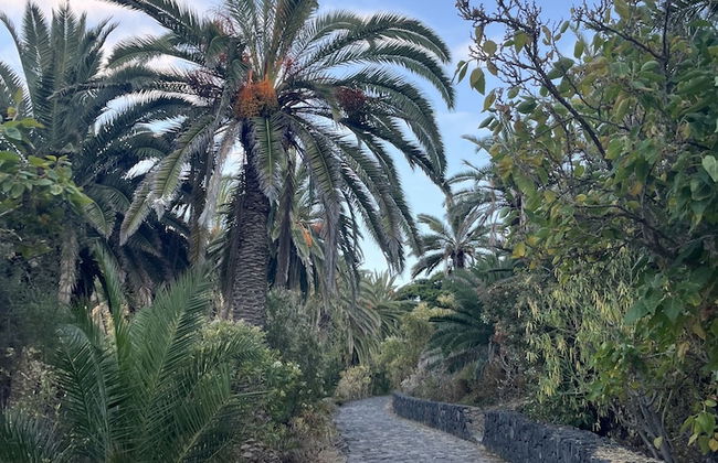 Casa Salvia - Rural Holiday Home - Foto 79