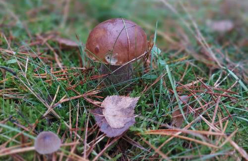 Master Camp Santoczno - Foto 62