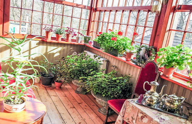 Lawendowe Wzgórze - Foto 22