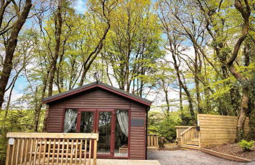 Woodland View -Hot Tub-Tenby-Carmarthen-St Clears - Foto 1