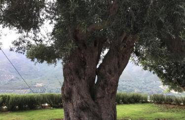 Augusta Country House - Foto 22