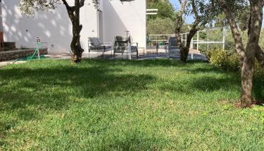 “CapriOleum” esclusive place - Foto 2