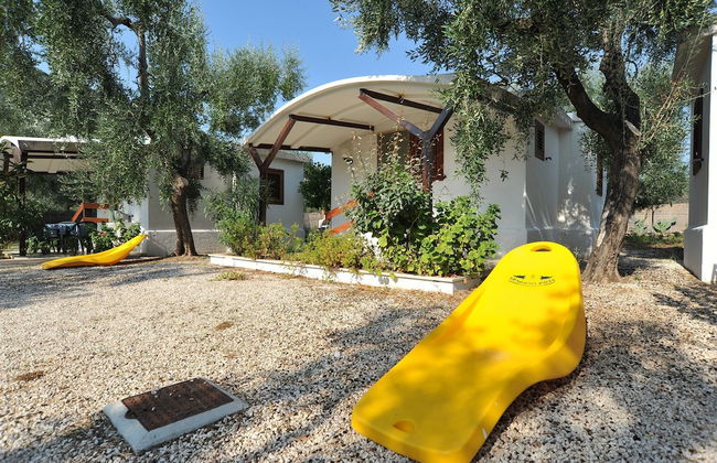 B&B Lido dei Pini - Photo 22