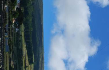 Casa da Tia Avelina - Photo 22