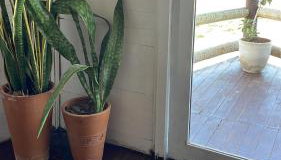 Casa Free Wind Jeri - Foto 4