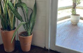 Casa Free Wind Jeri - Foto 4