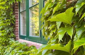 Tetenbüllerbü - immer schulfrei! - Foto 23