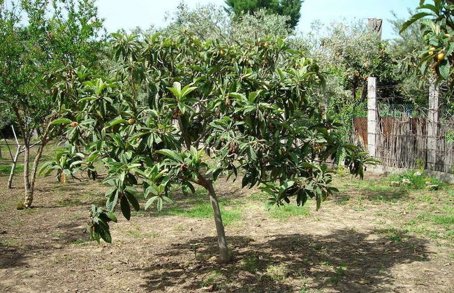 Il Giardino sul Mare - Foto 30