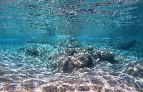 Berenice - Isola D'Elba Apartments - Foto 27