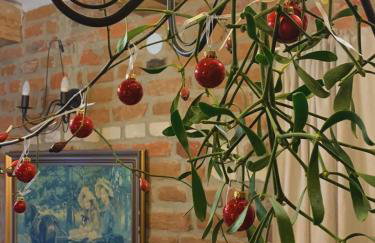 Dom na Warmii -Siedlisko Jabłonka - Foto 68