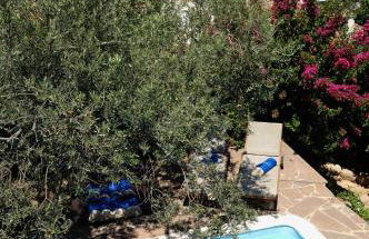 Anemone Residence - Photo 1