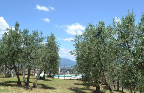 Farmhouse Abode With Pool and Tuscan Charm - Foto 18