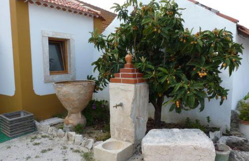 Refugio da Ti Maria - Photo 34