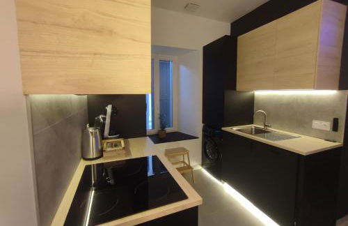 Cocon Lux au centre de Voiron - Foto 17