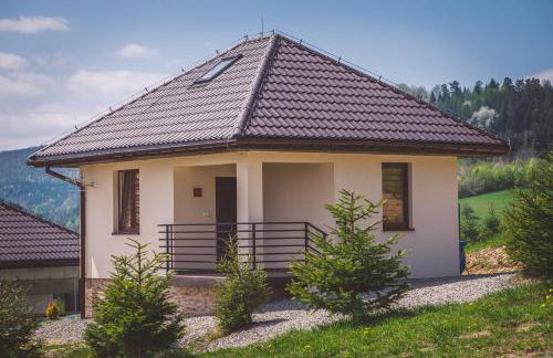 Domek w Bieszczadach - Photo 3