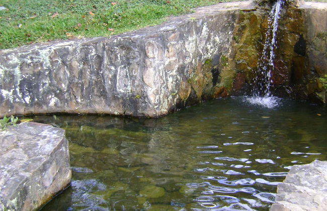 Trilha privada pela cascata Aguas Calientes - Foto 6