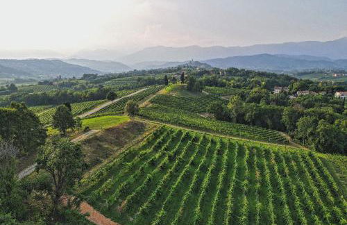 Tenuta Mani Sagge - Foto 29