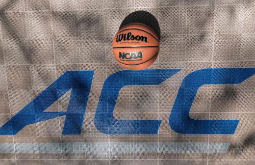 The Greensboro Manor HotTub FirePit Basketball 15 Min To Sedgefield CC - Photo 67