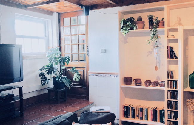 João Jungle - Foto 34