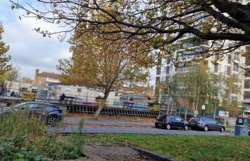 Home for the Holidays - Photo 36