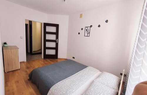 SDH 3 Wolomin comfortable apartment near Warsaw - Foto 8