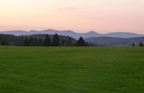 Nature Escape in Meisdorf - Foto 24