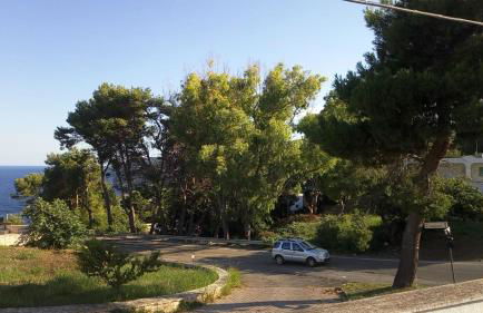 La terrazza sul mare - Marina di Novaglie - Foto 31