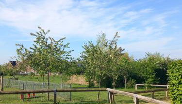 Beautiful detached home - Foto 2