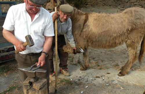 Apartamento Do Silva - Foto 32