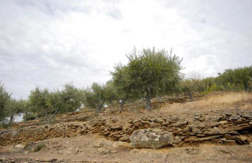 Seven Books House - Foto 35