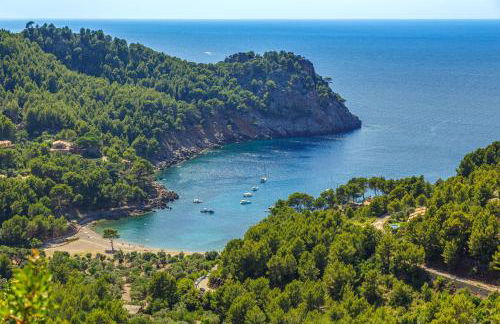 Ca n'aina - Photo 28