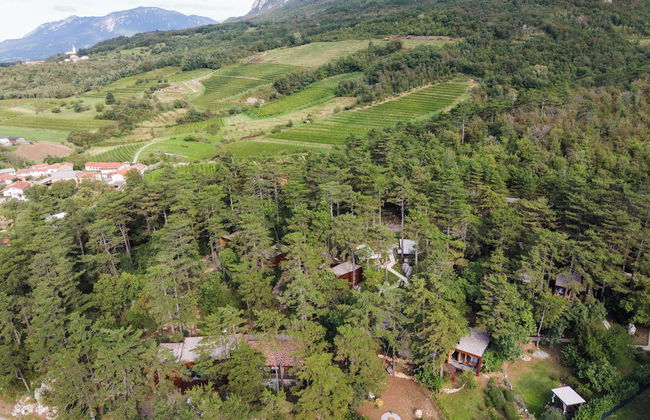 Theodosius forest village Vipava - Foto 33