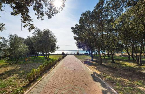 Apartments by the sea Vrsi - Mulo, Zadar - 5951 - Foto 9