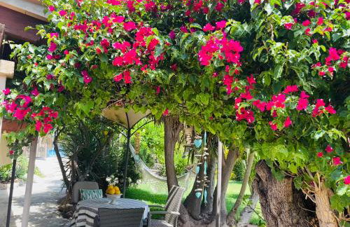 Casita Limón Andratx - Foto 13