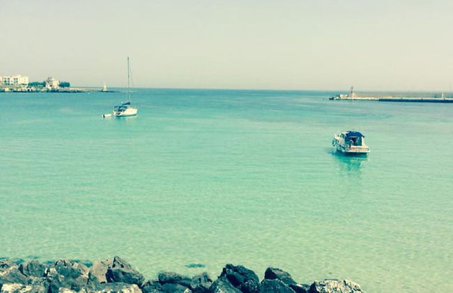 Vigne Vecchie - Foto 72