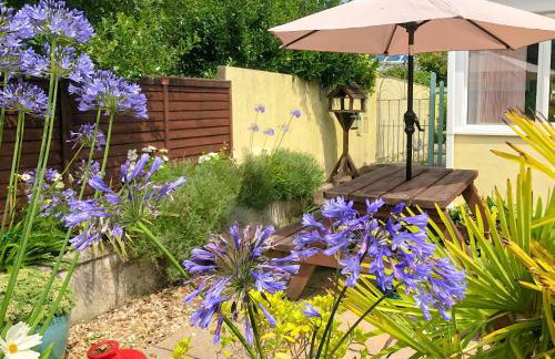 The Swallows - Foto 21