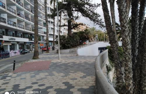 Delfin Home - Foto 40