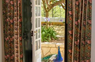 Quinta da Foz - Foto 26