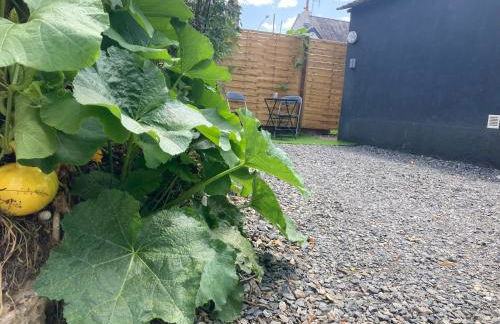 Studio avec terrasse et parking au Mans - Foto 13