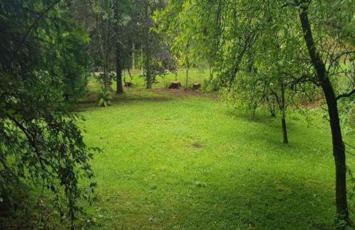 Ferienwohnung in Wildemann - Foto 22