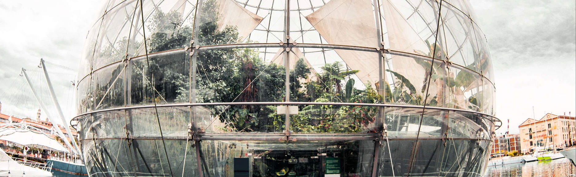 Entrada a la Biosfera